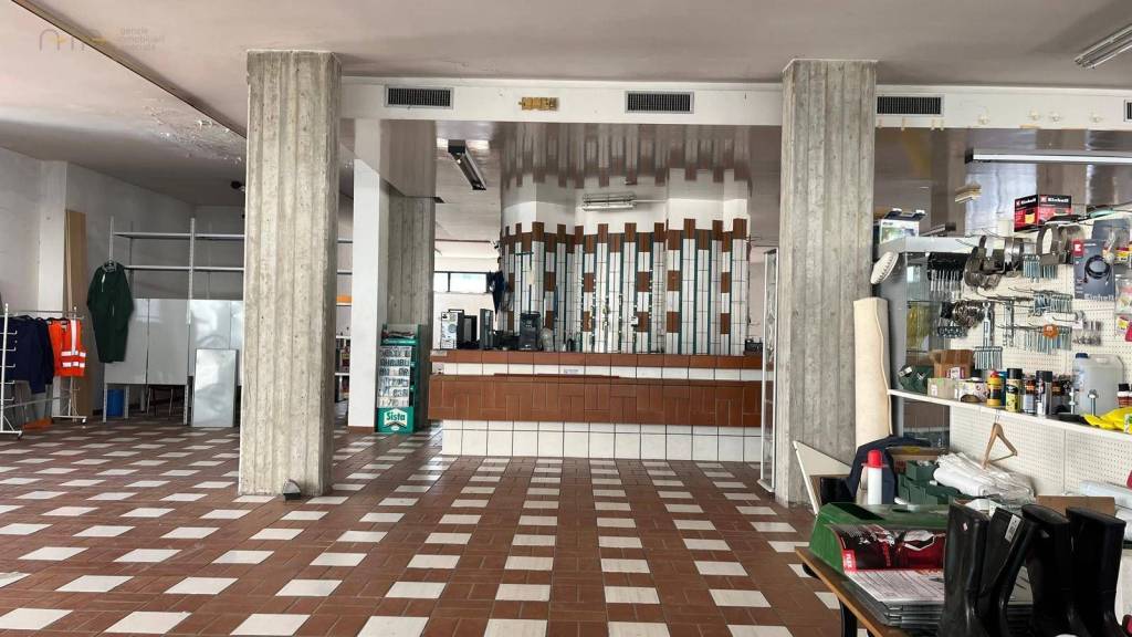 immagine annuncio 6 di 14