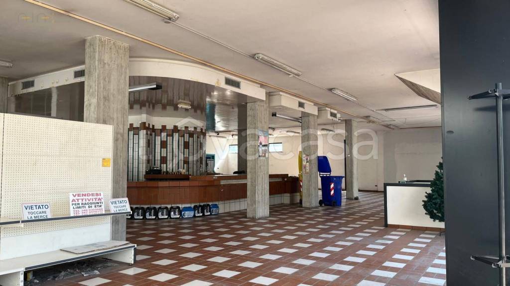 immagine annuncio 7 di 14