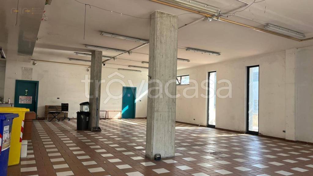 immagine annuncio 8 di 14