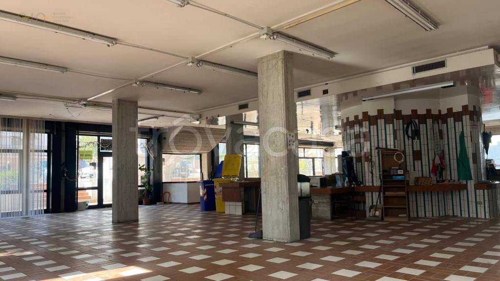 immagine annuncio 9 di 14