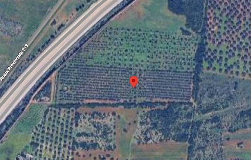 immagine annuncio 9 di 10