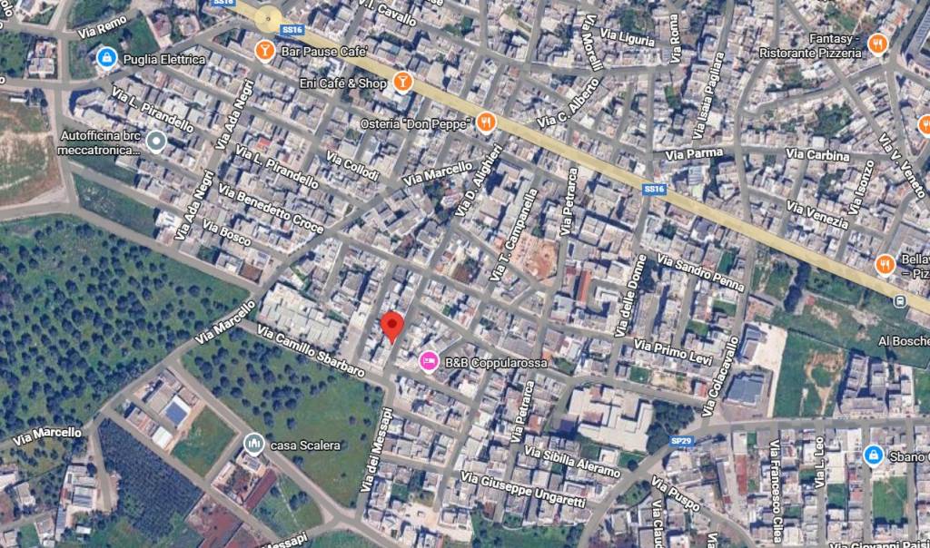 immagine annuncio 11 di 15