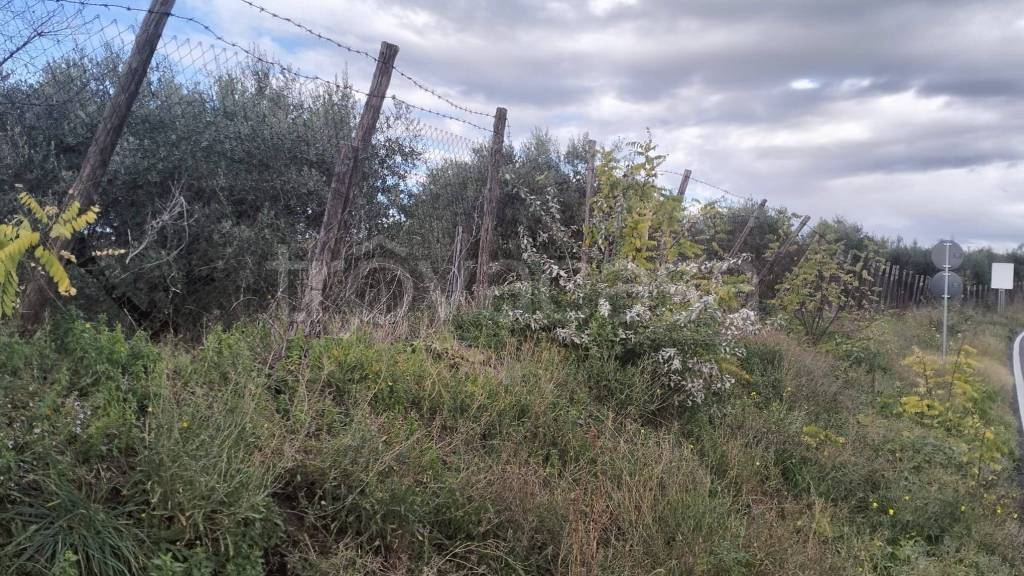 immagine annuncio 3 di 7