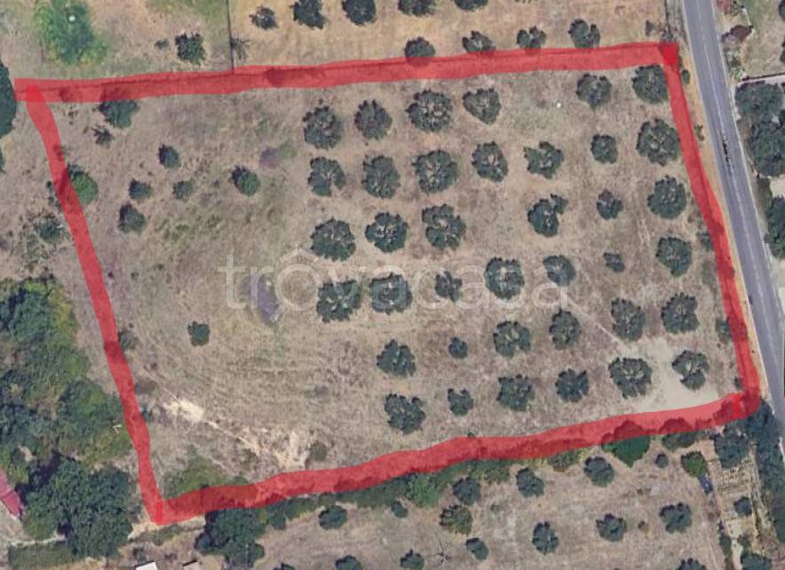 immagine annuncio 5 di 7