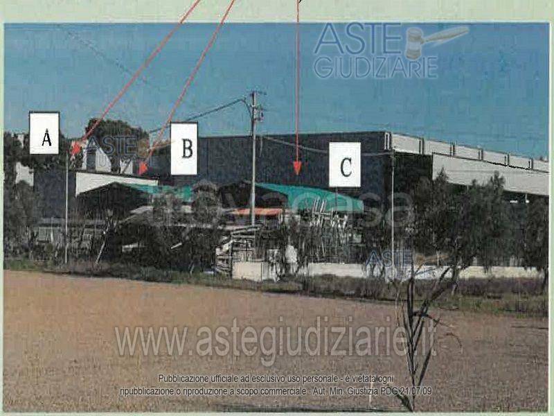 immagine annuncio 3 di 6