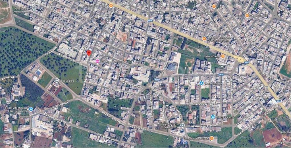 immagine annuncio 9 di 15