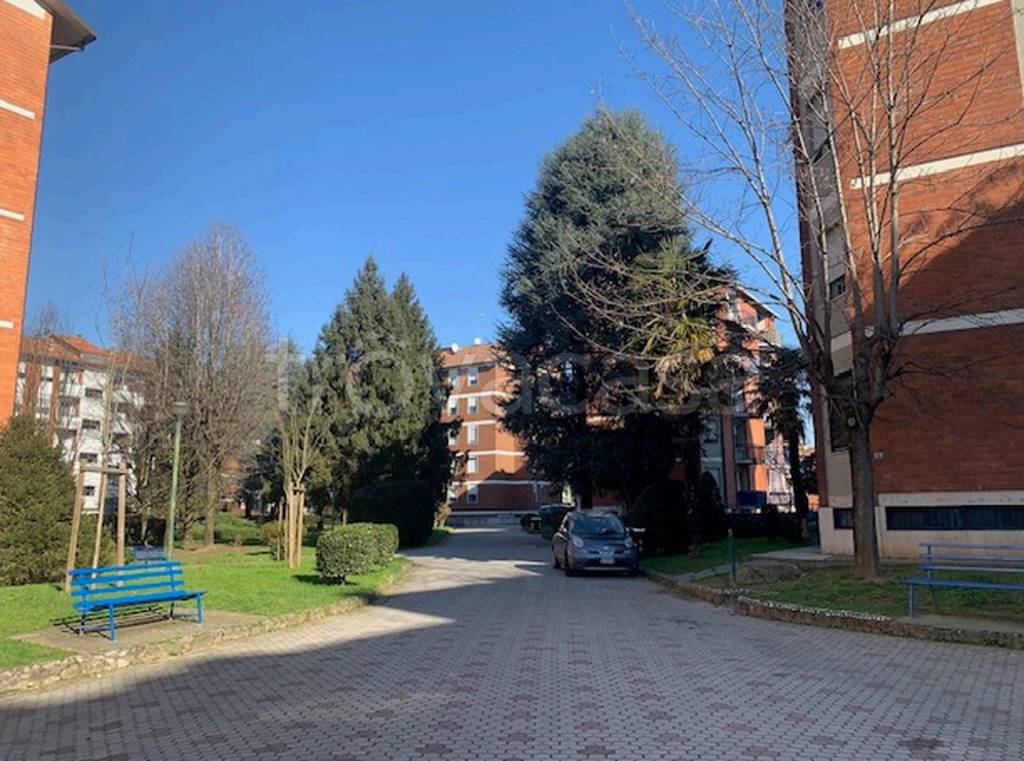 immagine annuncio 12 di 13