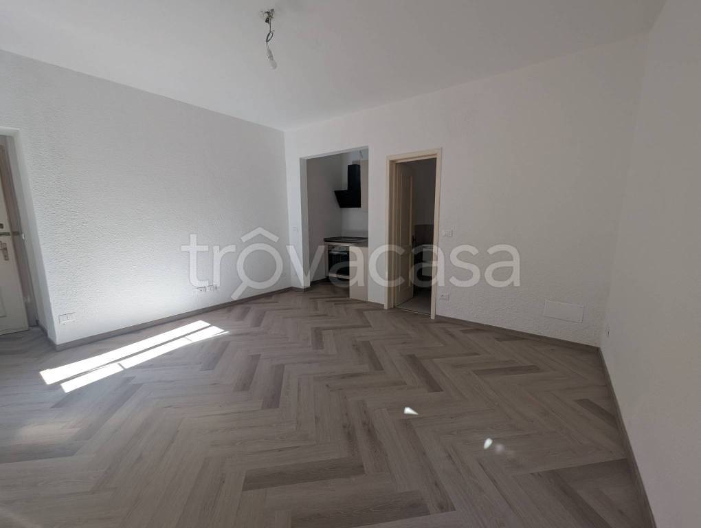 immagine annuncio 4 di 8