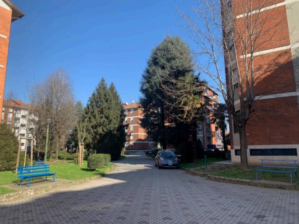 immagine annuncio 14 di 15