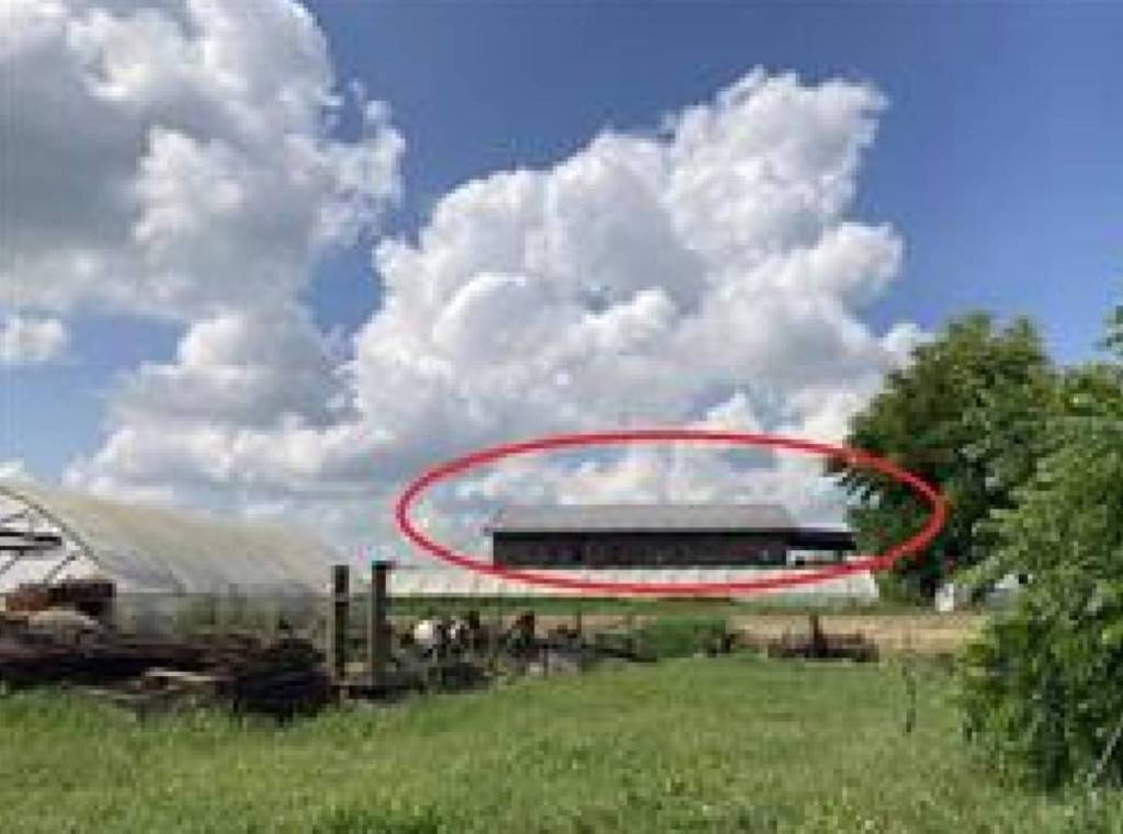 immagine annuncio 5 di 13