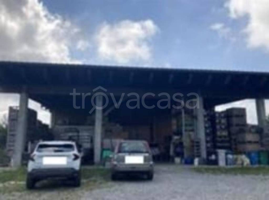 immagine annuncio 10 di 13