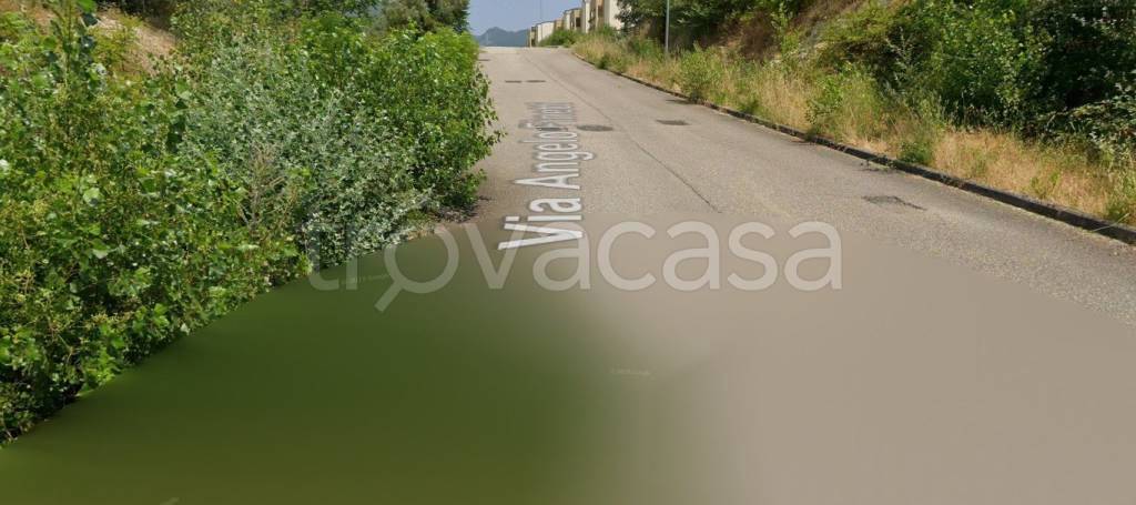 immagine annuncio 4 di 11