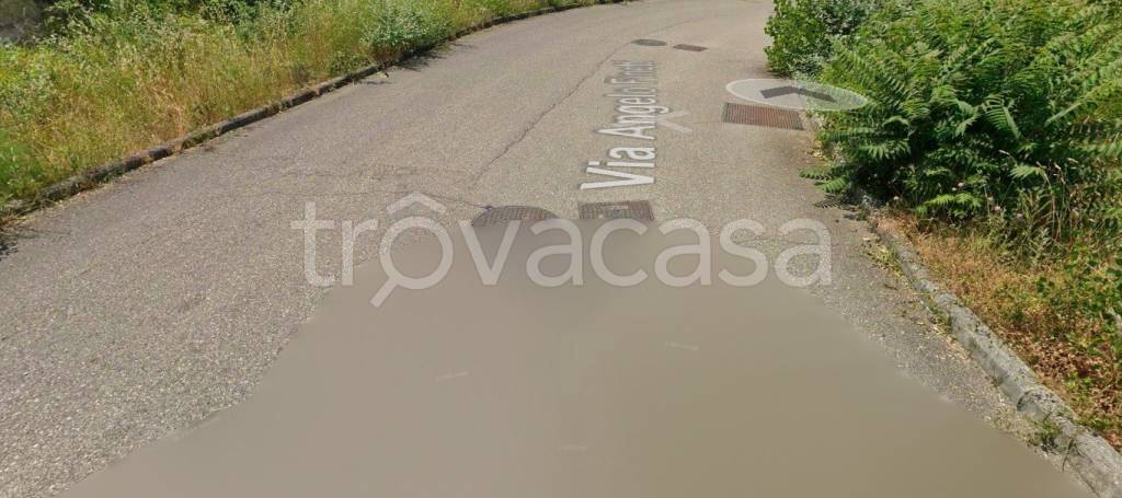 immagine annuncio 8 di 11