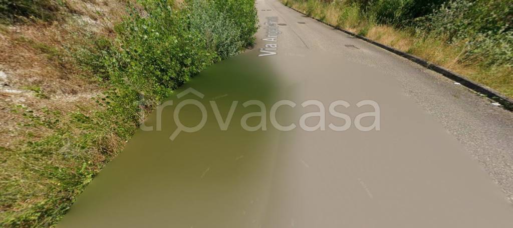 immagine annuncio 9 di 11