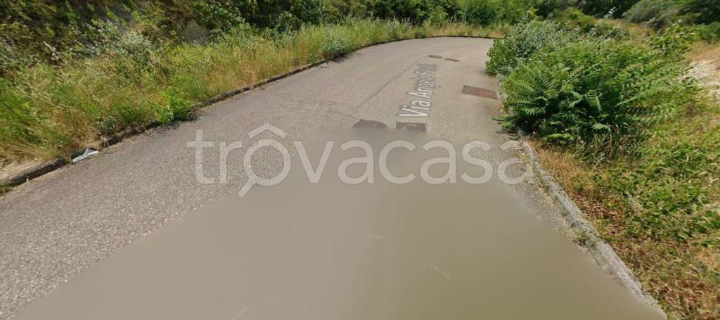 immagine annuncio 10 di 11