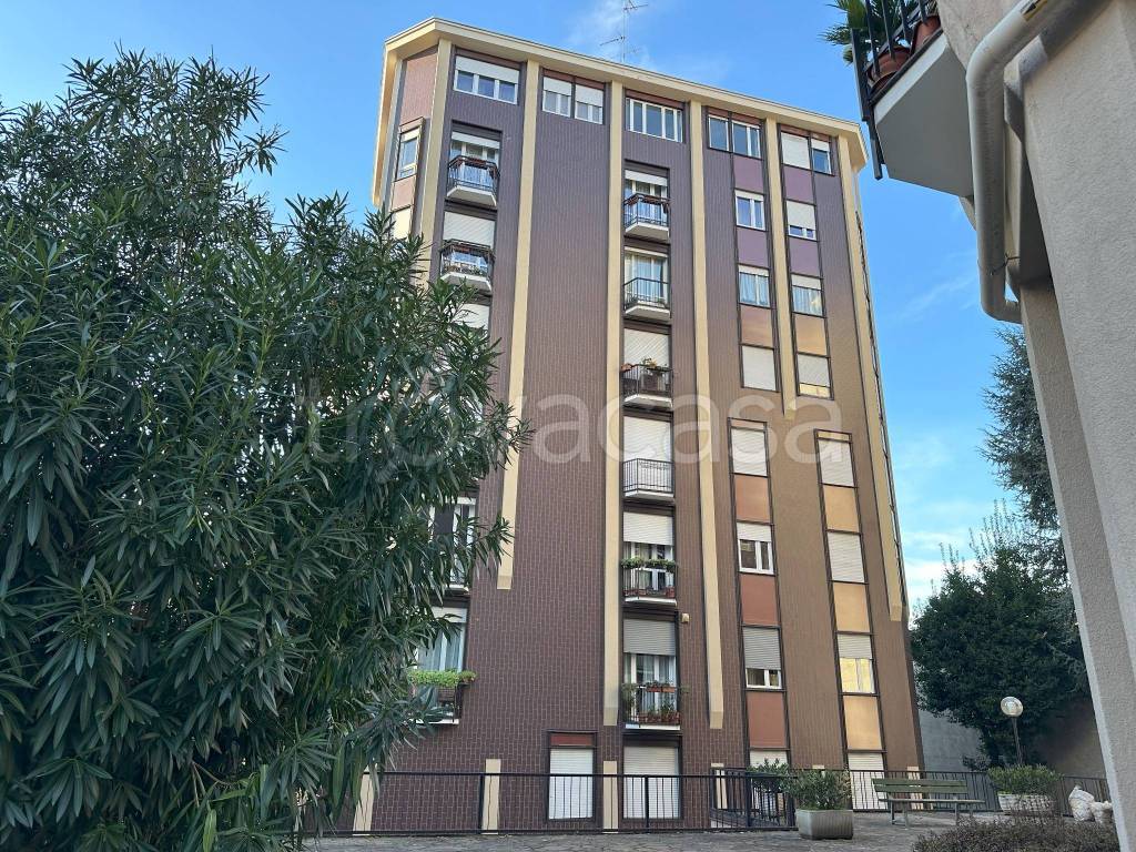 immagine annuncio 8 di 15