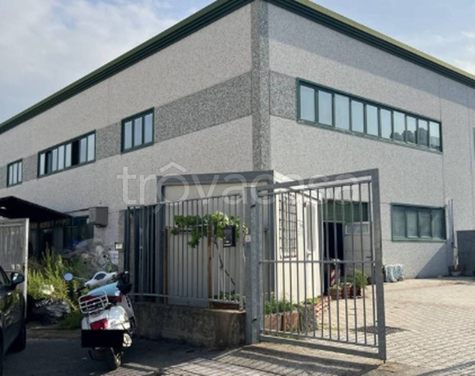 immagine annuncio 1 di 10