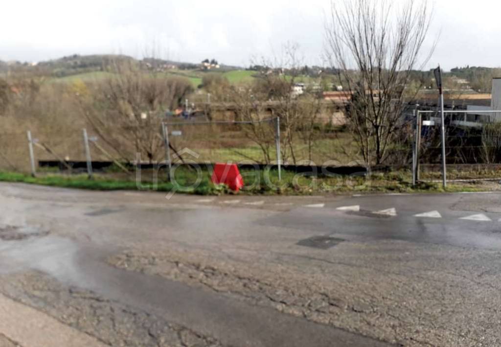 immagine annuncio 2 di 11