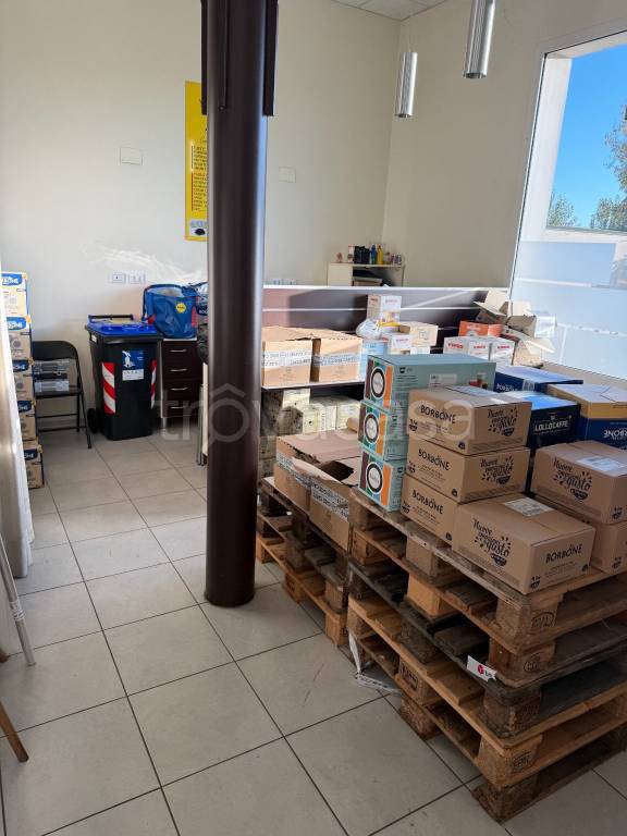 immagine annuncio 9 di 13