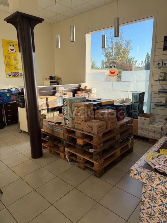 immagine annuncio 10 di 13