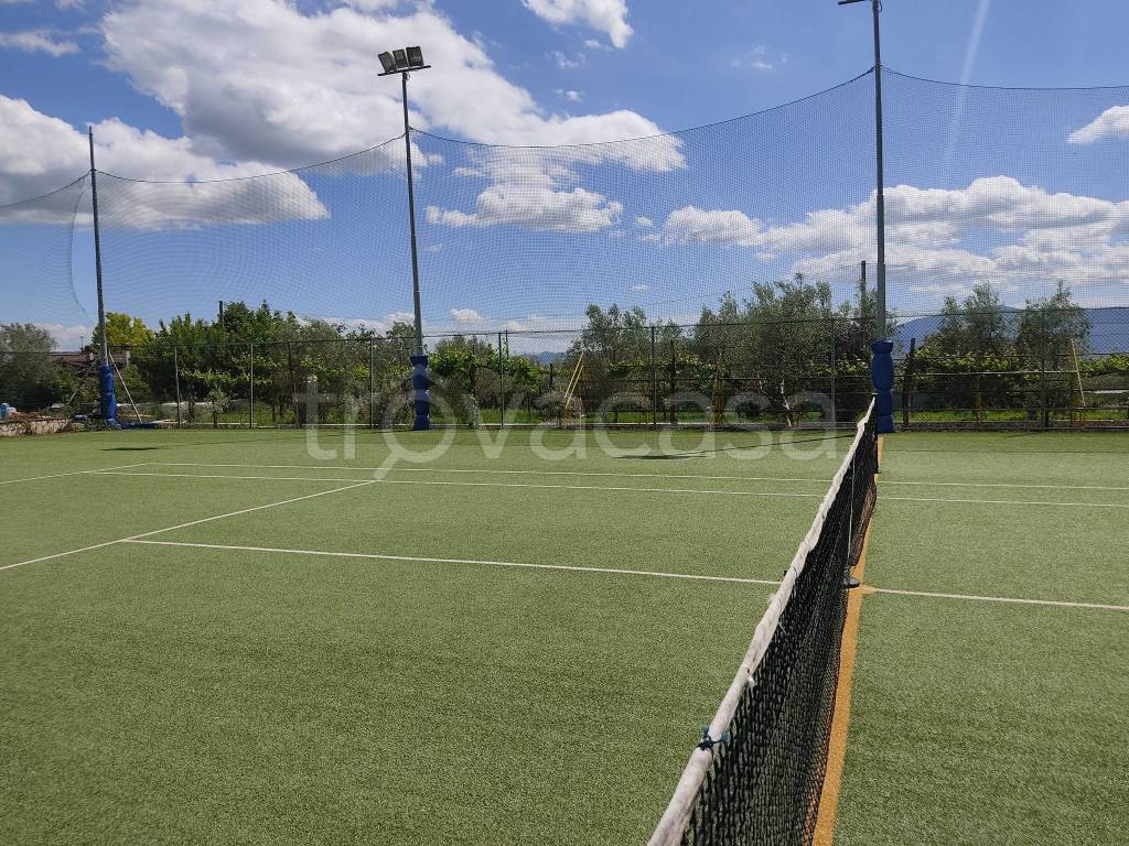 immagine annuncio 5 di 14