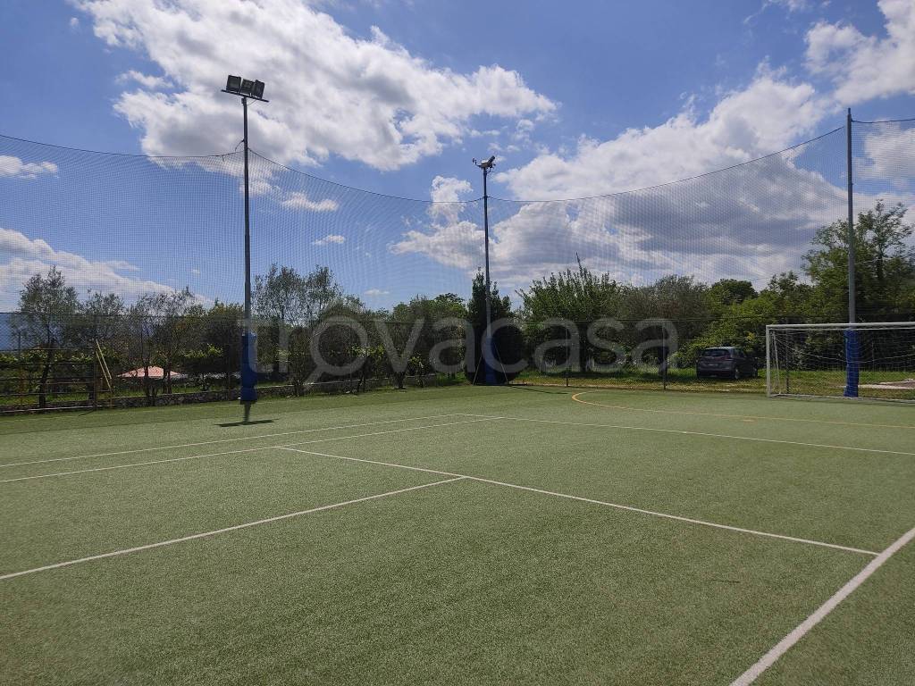 immagine annuncio 6 di 14