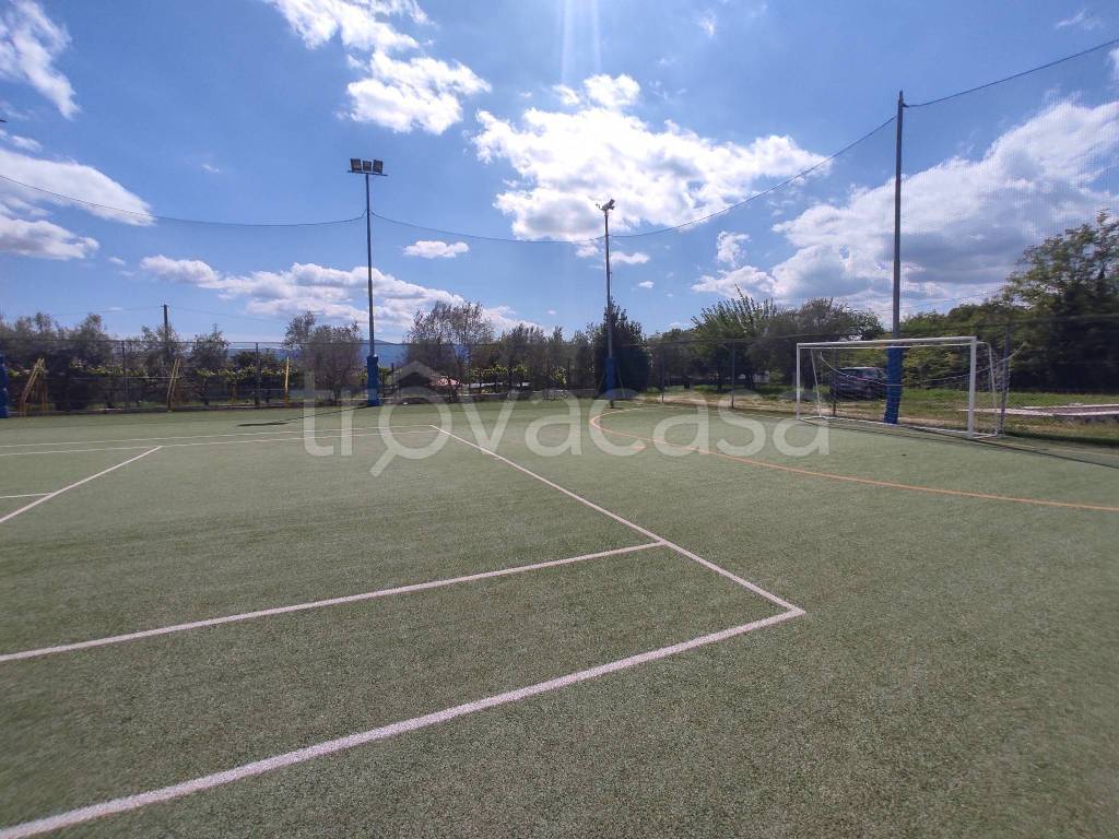 immagine annuncio 9 di 14