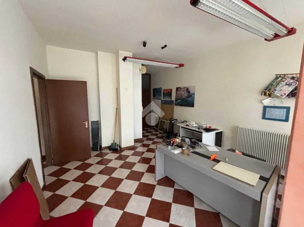 immagine annuncio 1 di 14