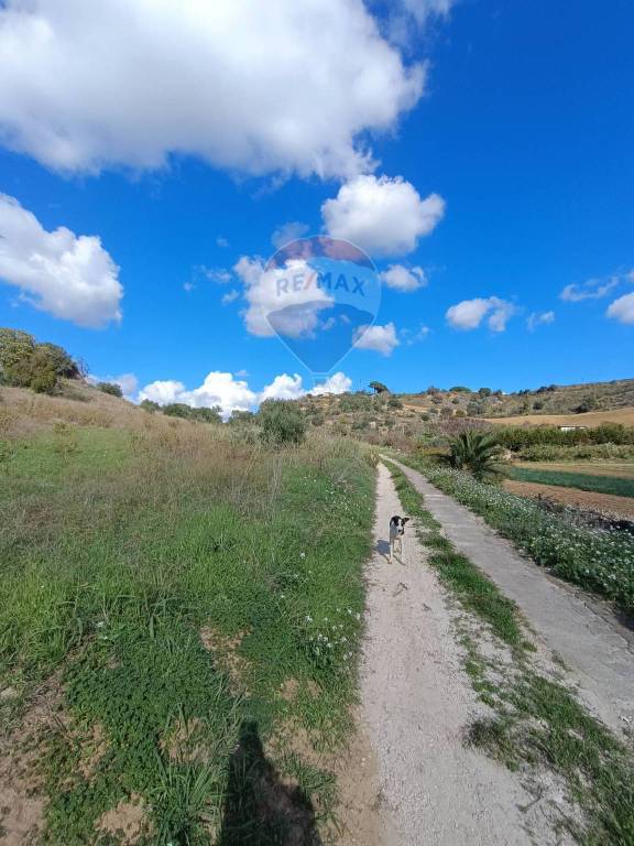 immagine annuncio 4 di 6