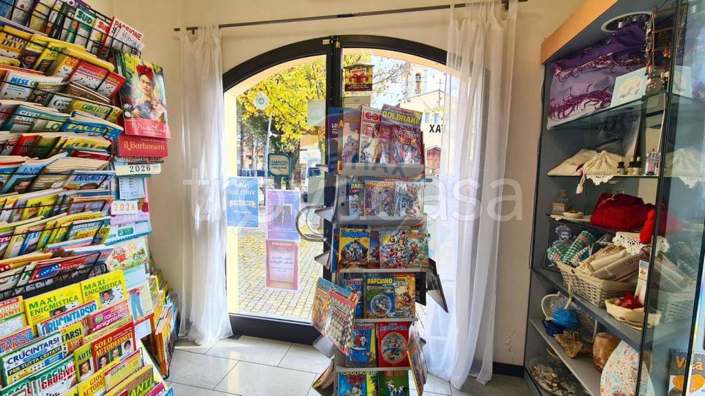 immagine annuncio 10 di 15