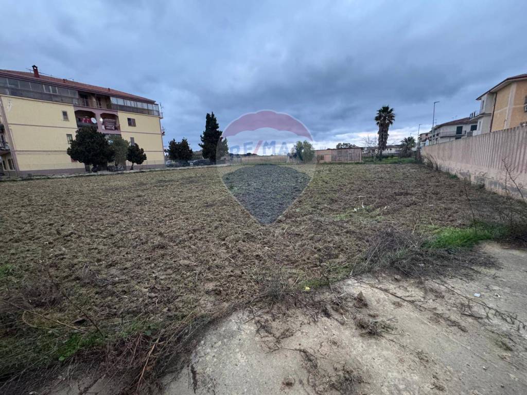 immagine annuncio 4 di 6