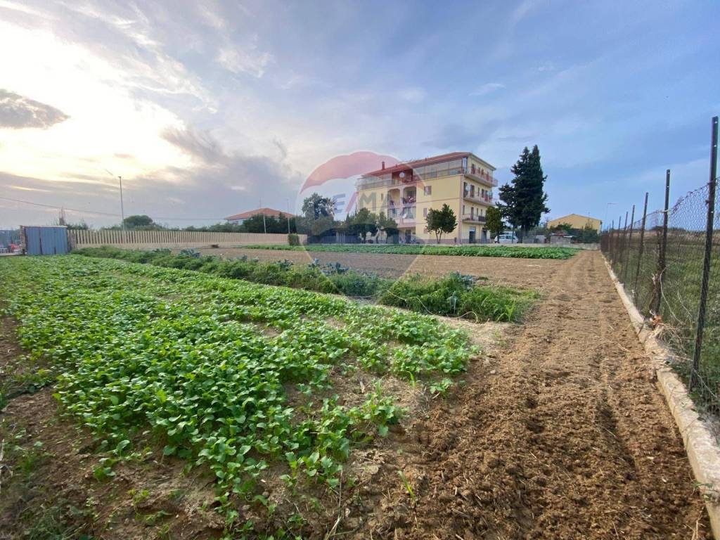 immagine annuncio 5 di 6