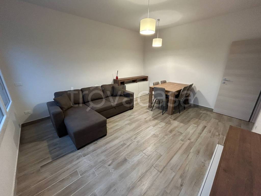 immagine annuncio 2 di 14