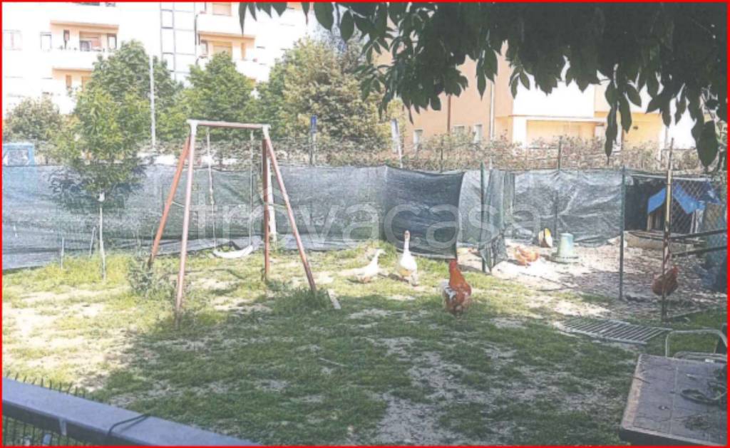 immagine annuncio 12 di 13