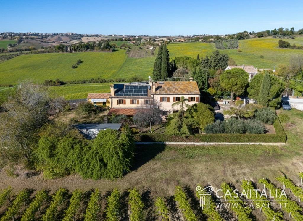 immagine annuncio 10 di 15