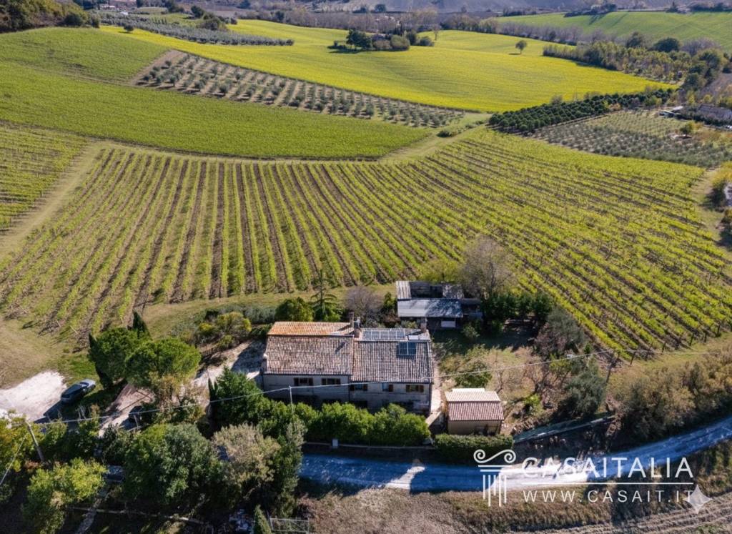 immagine annuncio 11 di 15