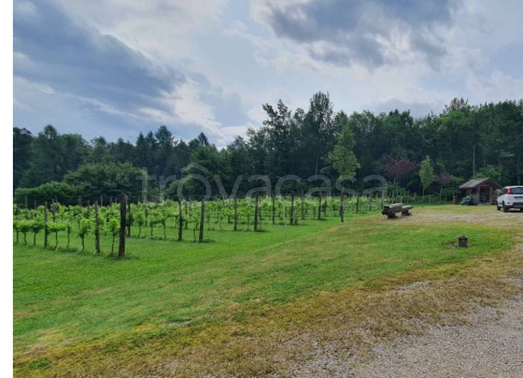 immagine annuncio 6 di 12