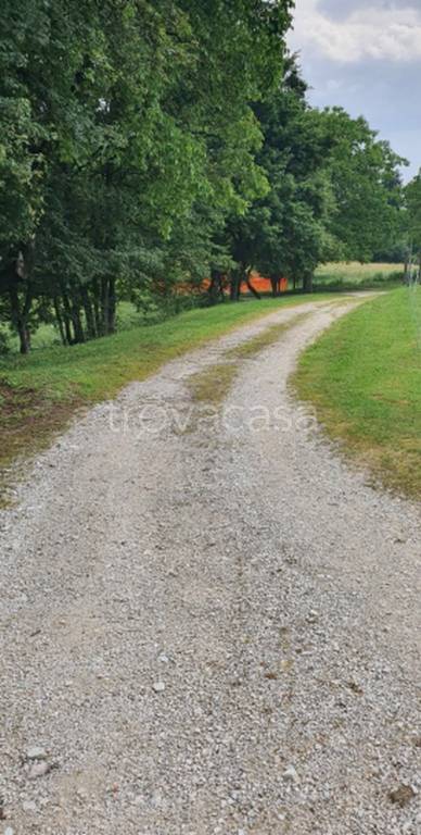 immagine annuncio 7 di 12