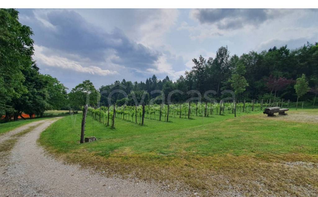 immagine annuncio 8 di 12