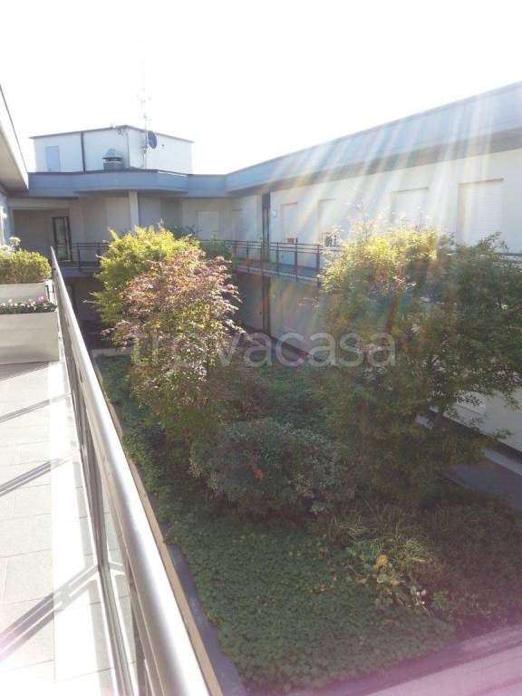 immagine annuncio 9 di 14