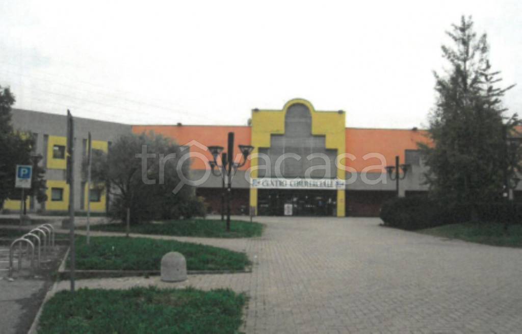 immagine annuncio 4 di 12