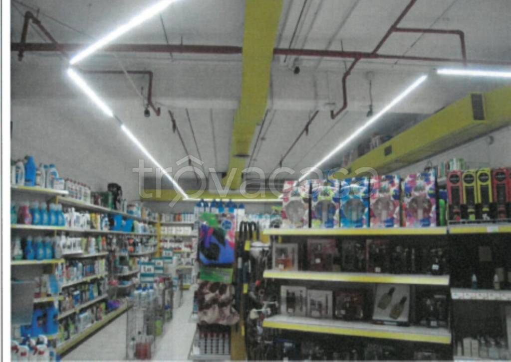 immagine annuncio 6 di 12