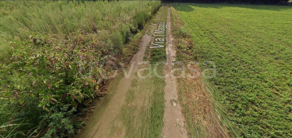 immagine annuncio 6 di 13