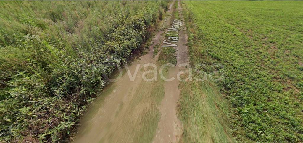 immagine annuncio 9 di 13