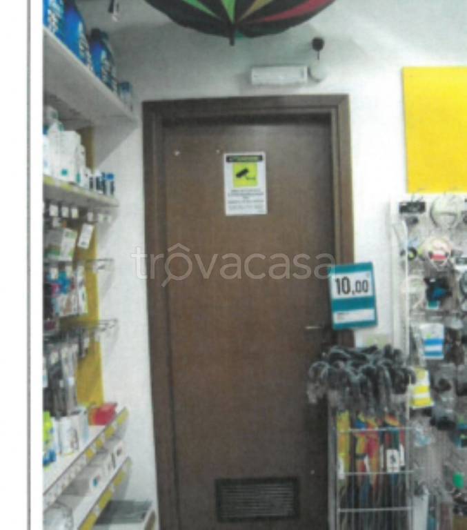 immagine annuncio 10 di 12