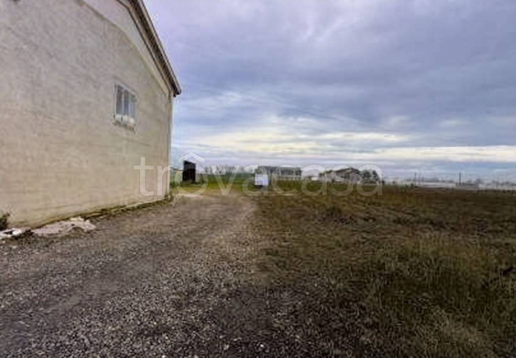 immagine annuncio 1 di 8