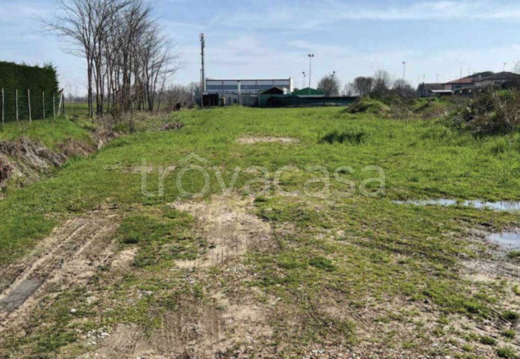 immagine annuncio 4 di 13