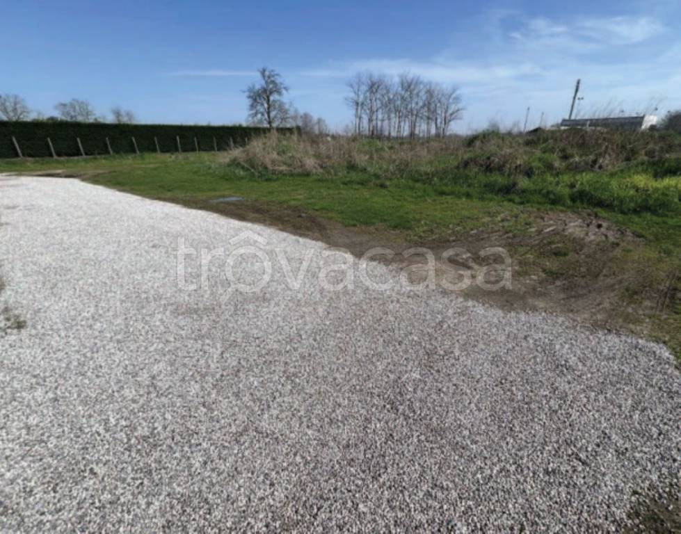 immagine annuncio 6 di 13