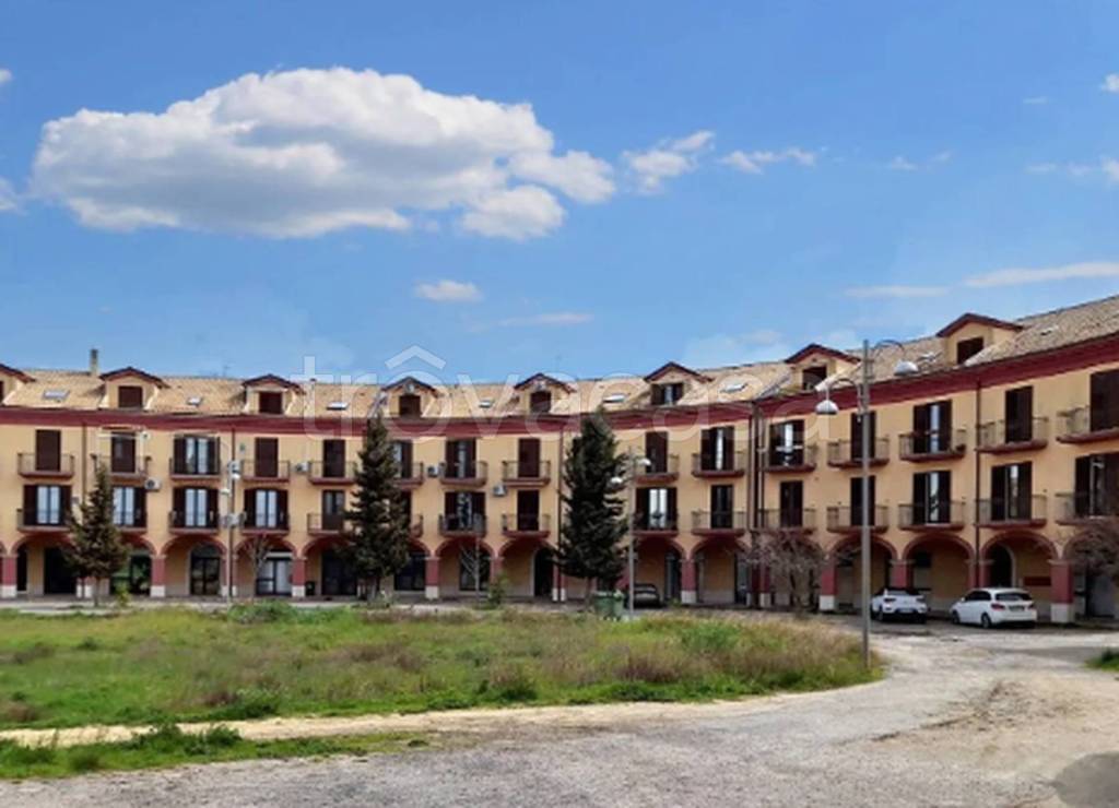 immagine annuncio 6 di 11