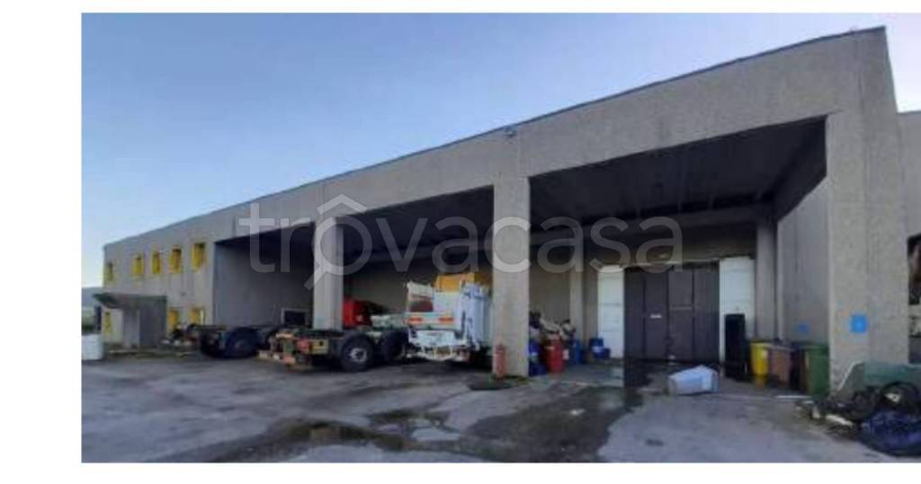 immagine annuncio 5 di 13